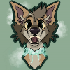 Coyote Express